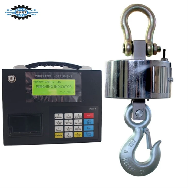 Stainless Steel Crane Scale factory